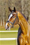 Freezbee-Pari</b>