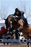 Zagal e. Crelido/Royal Z. Redet af Christine Santanen