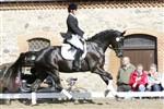 <b>Højbo’ Mandalay</b> e. Weltjunge/Raimondo
Bronzemedaljehoppe – dressur – Eliteskuet 2009
Opdrættet af: Kaja Lund Jensen