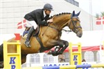 <b>Harry K</b> e. Equest Carnute
Vinder af 5-års championat for ungheste 2009
Opdrættet af: Søren Knudsen