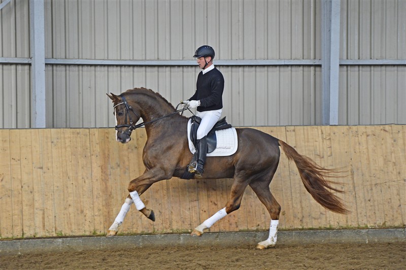 DVH 1106 De l'Or